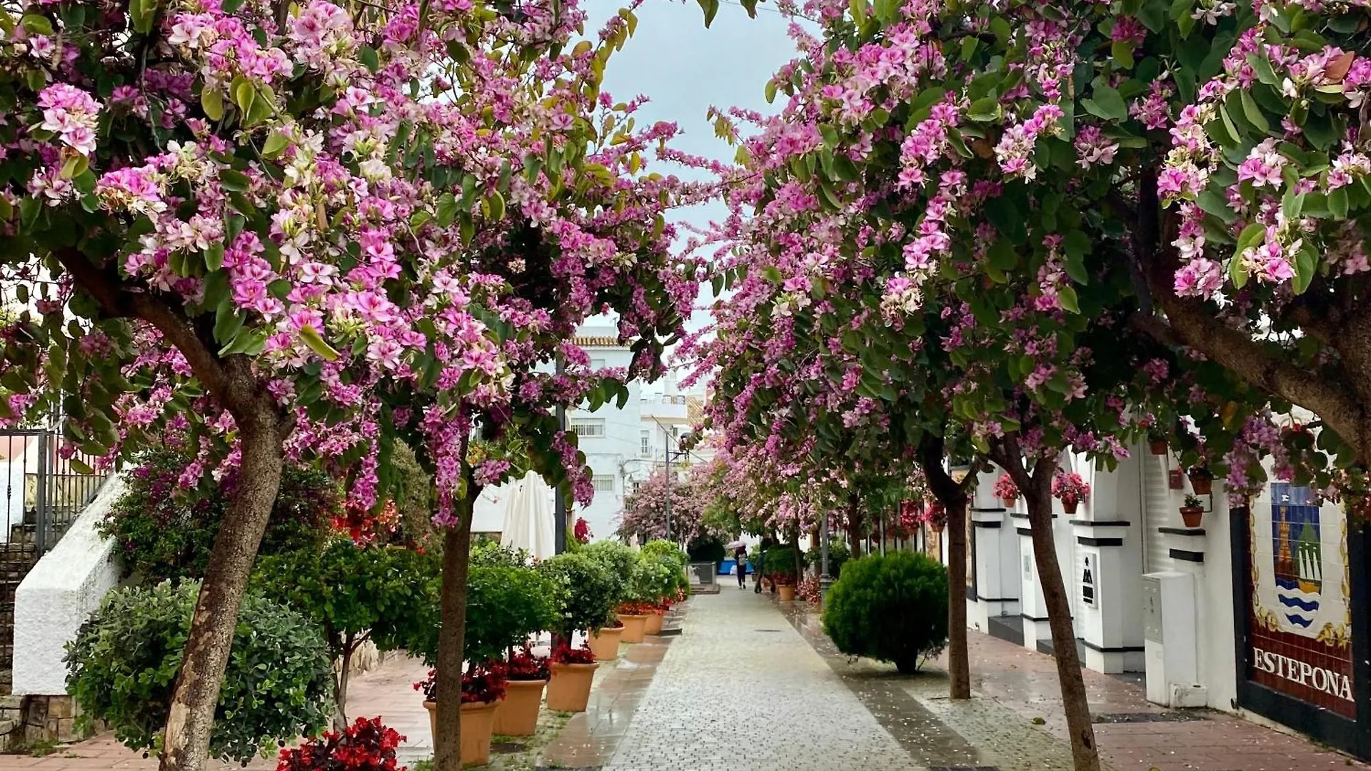 Apartamento Casa San Miguel Estepona 0*,