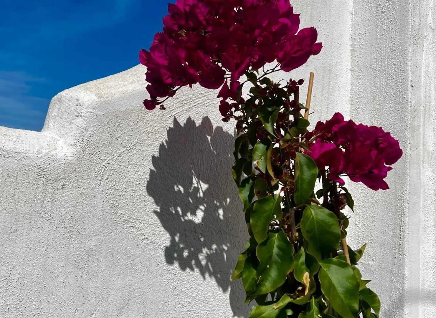 Casa San Miguel Apartment Estepona